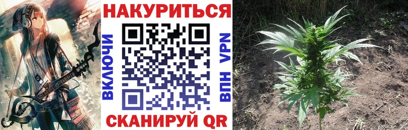 закладки  Могоча  Бошки марихуана индика 